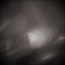 Load image into Gallery viewer, StyleTech Polished Metal Adhesive