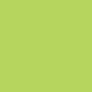 ThermoFlex PLUS HTV